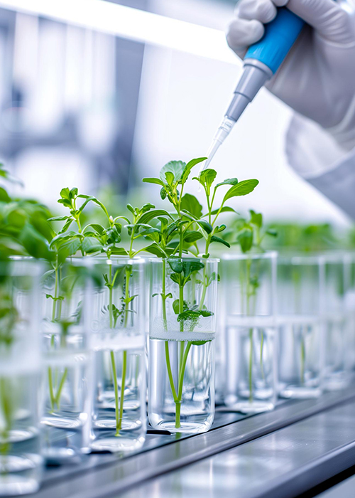 agrochemical intermediates